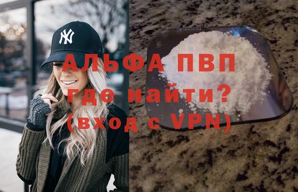 шишки Абаза