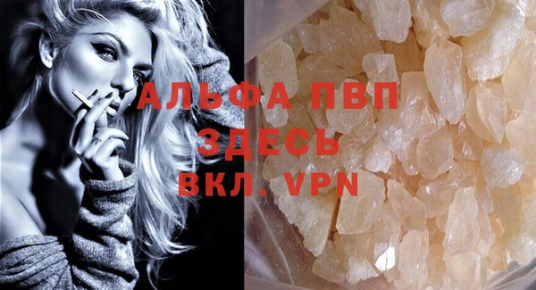 гашик Ростов