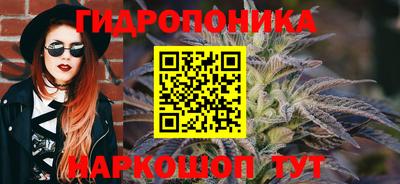 хмурый Аргун