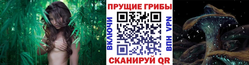 мориарти официальный сайт  Астрахань  blacksprut маркетплейс  Галлюциногенные грибы прущие грибы  даркнет сайт 