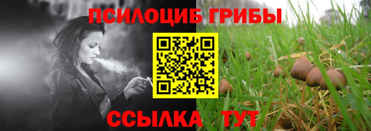 Псилоцибиновые грибы Psilocybine cubensis Астрахань